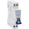 20221 Disjoncteur EurOhm unipolaire + neutre 20A - 1P+N - courbe D - 4,5kA - connexion Vis/vis - Certifié NF