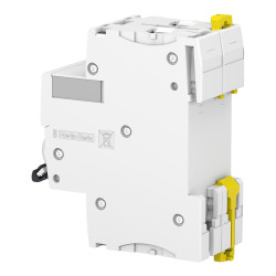 A9F75204 Schneider iC60N - Disjoncteur bipolaire 4A - 2P - Courbe D - 6/50kA - Bornes à vis - Acti9 iC60