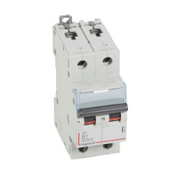 407502 Legrand DX3 - Disjoncteur bipolaire 1A 2P B1 6000A/10kA - Courbe B - 230V - À vis - 2 modules