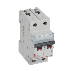407505 Legrand DX3 - Disjoncteur bipolaire 4A 2P B4 6000A/10kA - Courbe B - 230V - À vis - 2 modules
