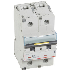 409458 Legrand DX3 - Disjoncteur bipolaire 80A 2P D80 10000A/16kA - 230V - Courbe D - À vis - 3 modules