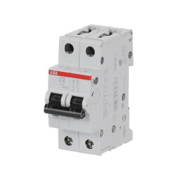 S202 D16 - Disjoncteur bipolaire ABB 16A - 2P - Courbe D - 6/10kA - Bornes à vis - 2CDS252001R0161 - 352263