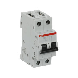 S202 D63 - Disjoncteur bipolaire ABB 63A - 2P - Courbe D - 6/10kA - Bornes à vis - 2CDS252001R0631 - 352269